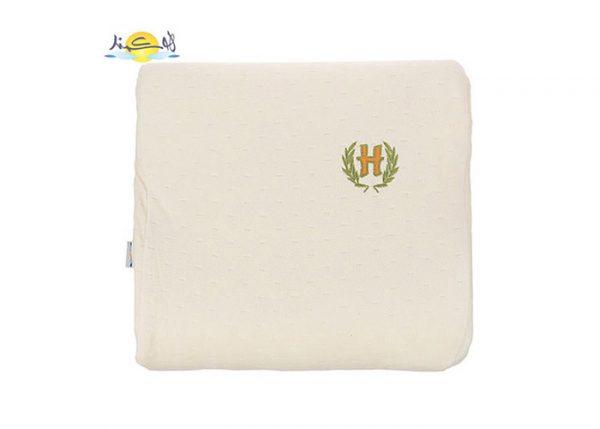 بالشت سفری هوشمند